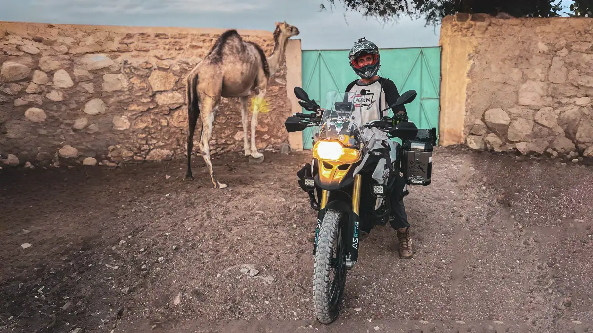 Big Bubble the dromedary — Chez Tessa, Essaouira, Morocco