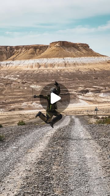Wild horses on the road in the Mangystau Desert — a speechless moment