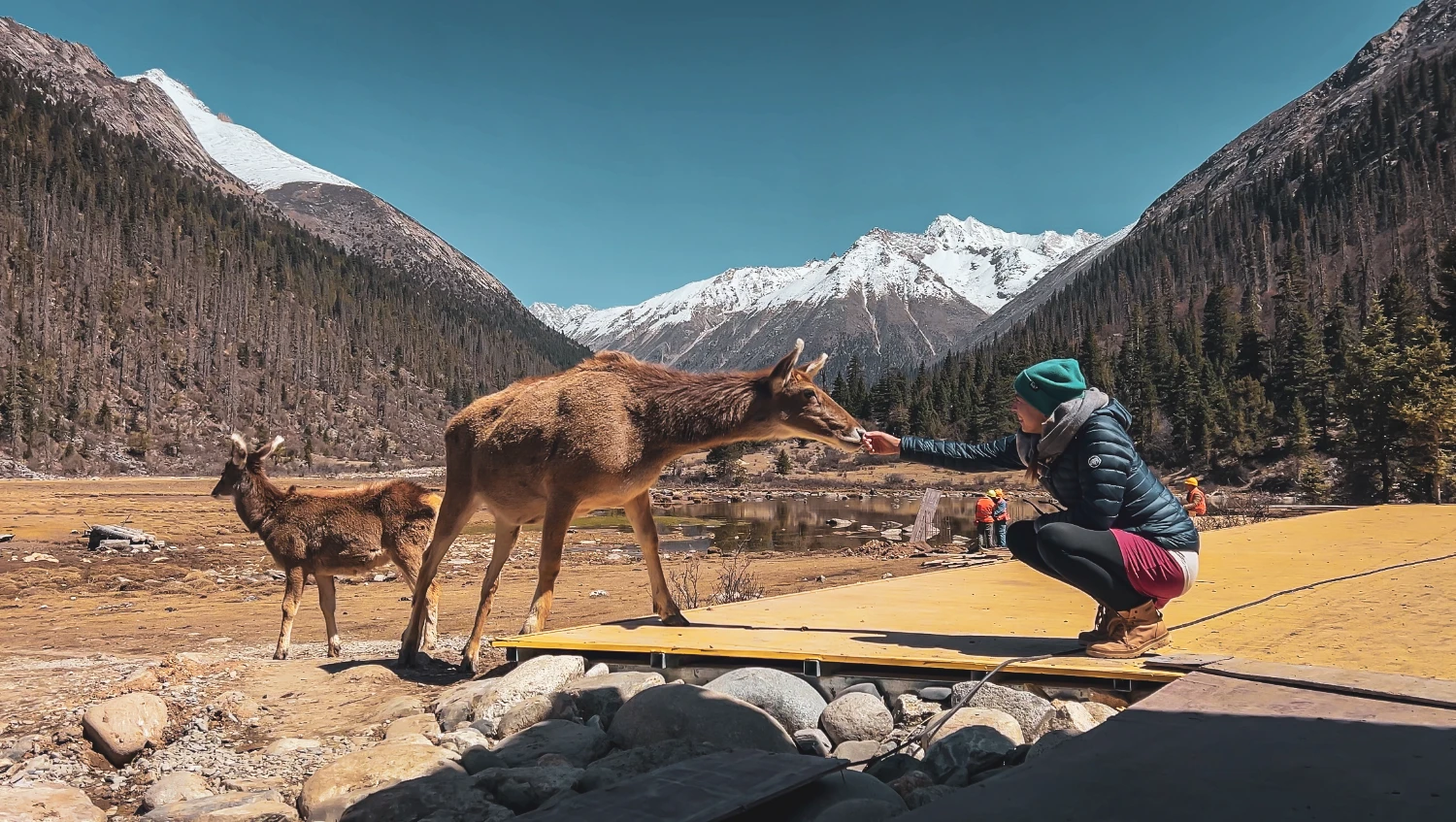 China Tibet Sichuan backpacking travel landscape