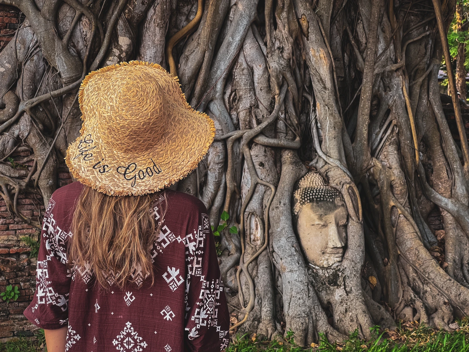 Ayutthaya Thailand Buddha face tree ruins