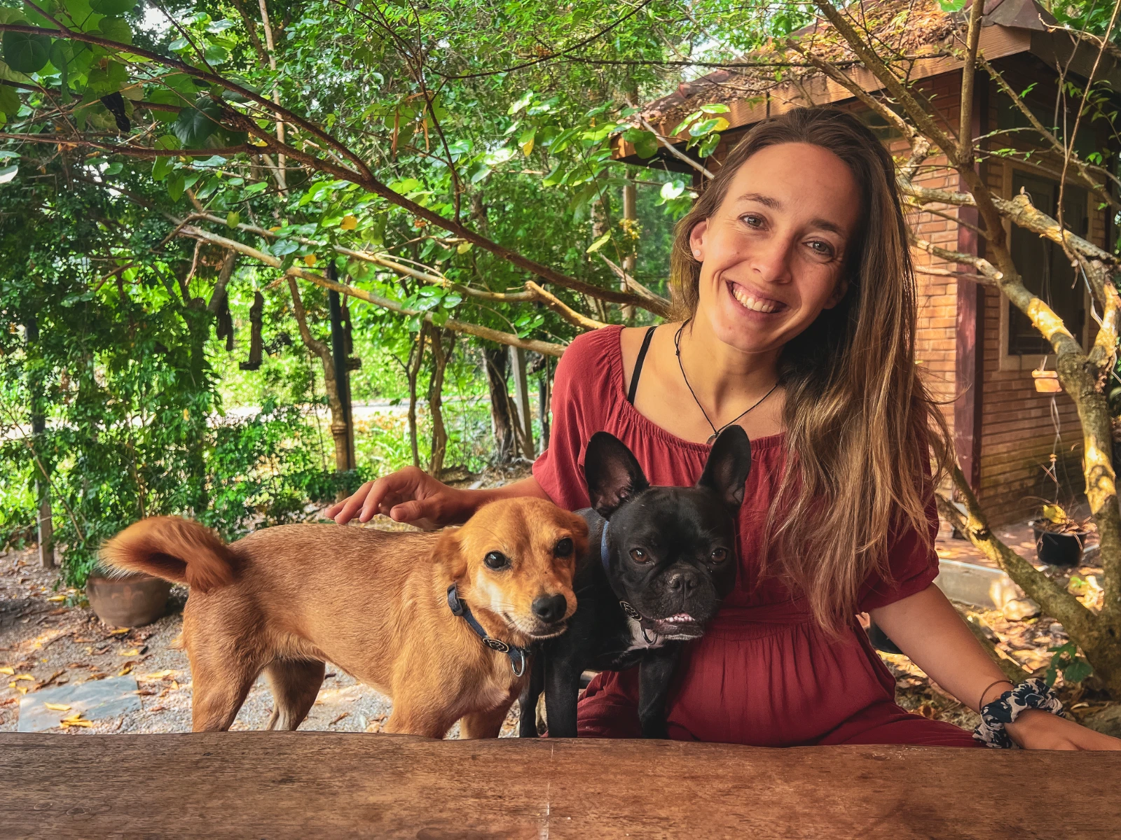 Chiang Mai pet sitting TrustedHouseSitters dogs