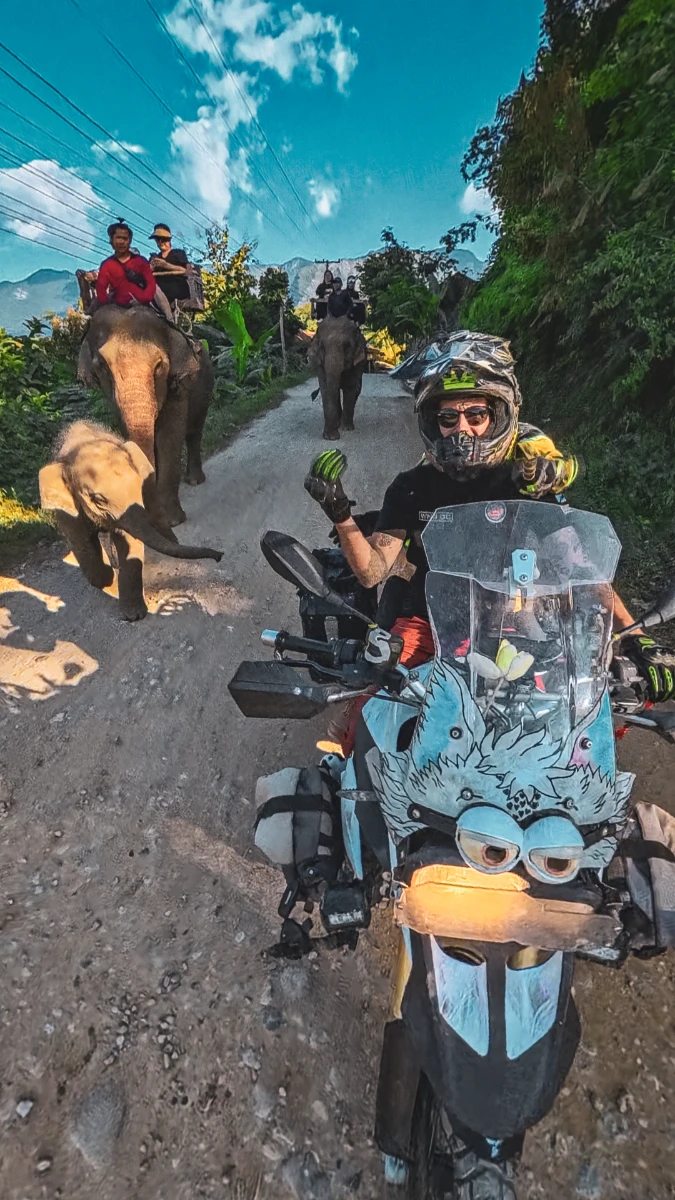 motorcycle travel Laos elephant road encounter Falkor