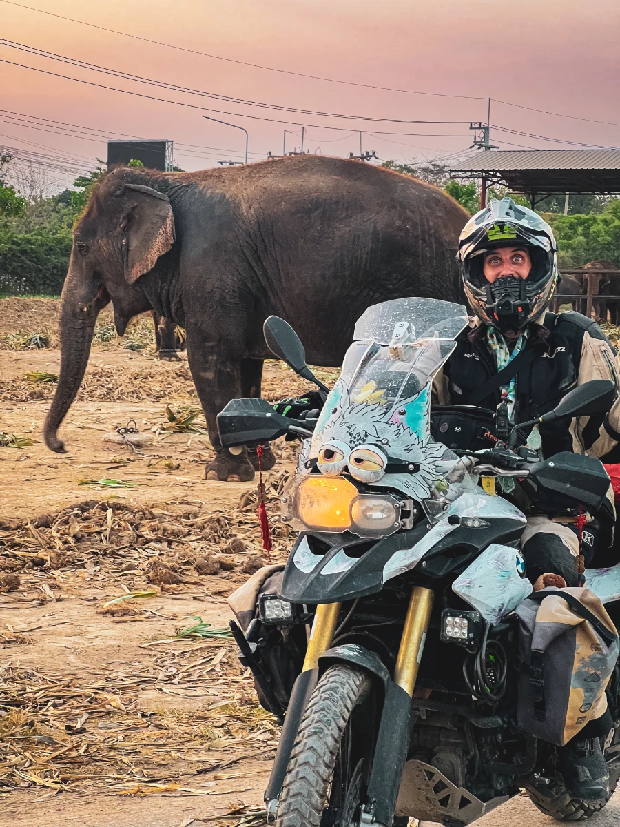 Thailand elephant road Falkor encounter