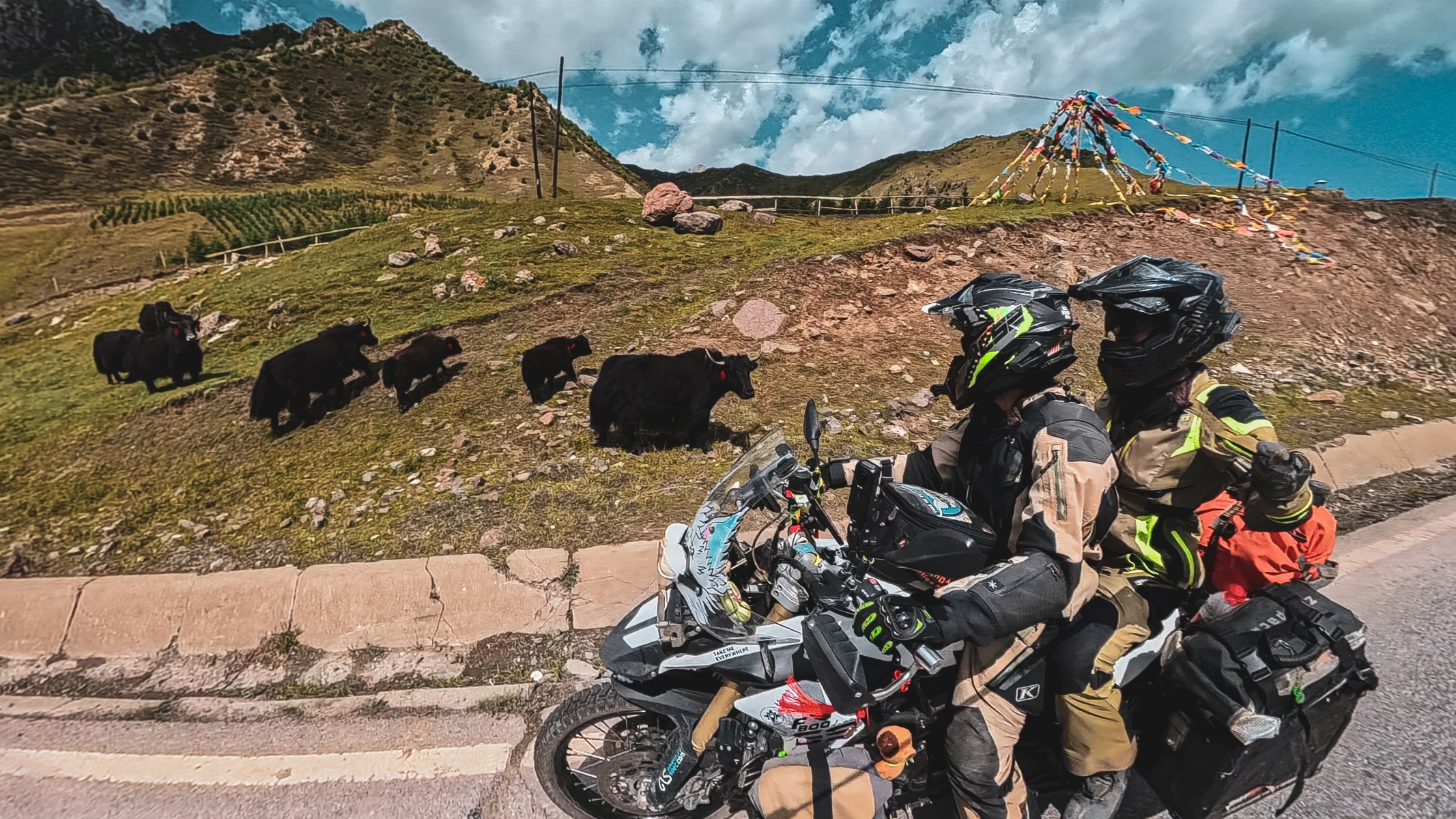 motorcycle travel Historical Tibet yaks Xining China Falkor