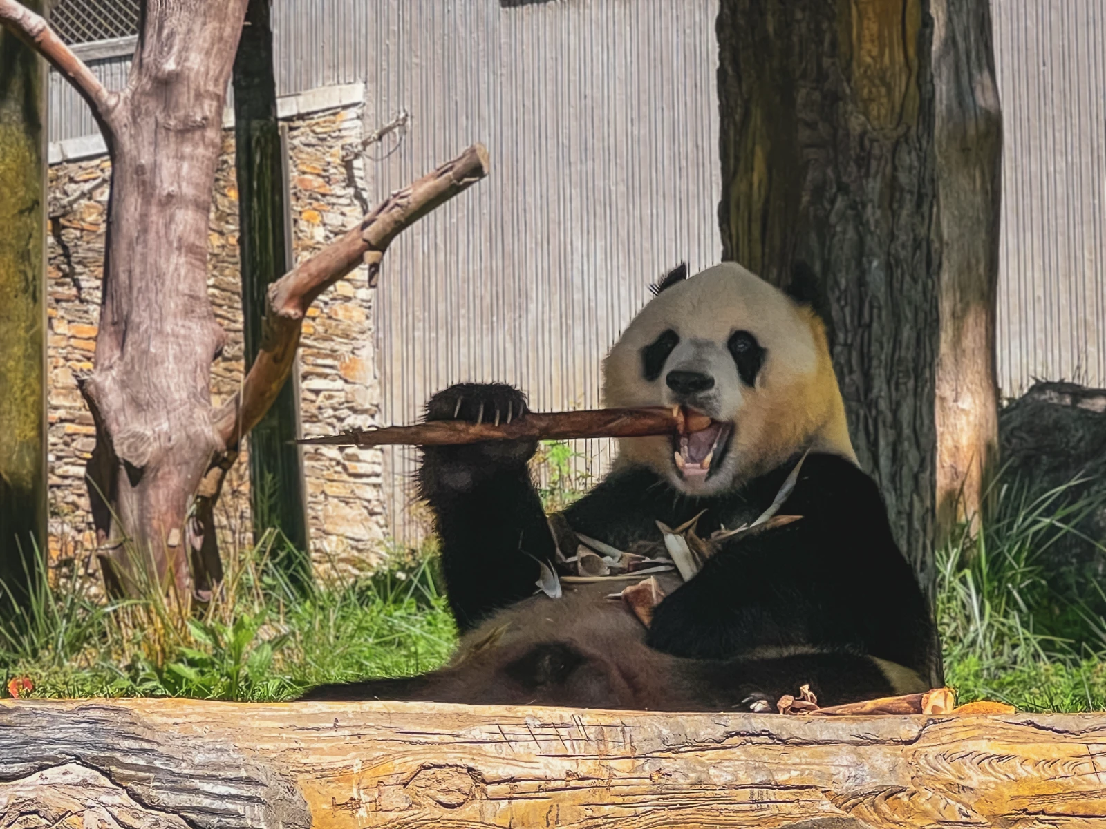 motorcycle travel China Wolong panda reserve Sichuan conservation