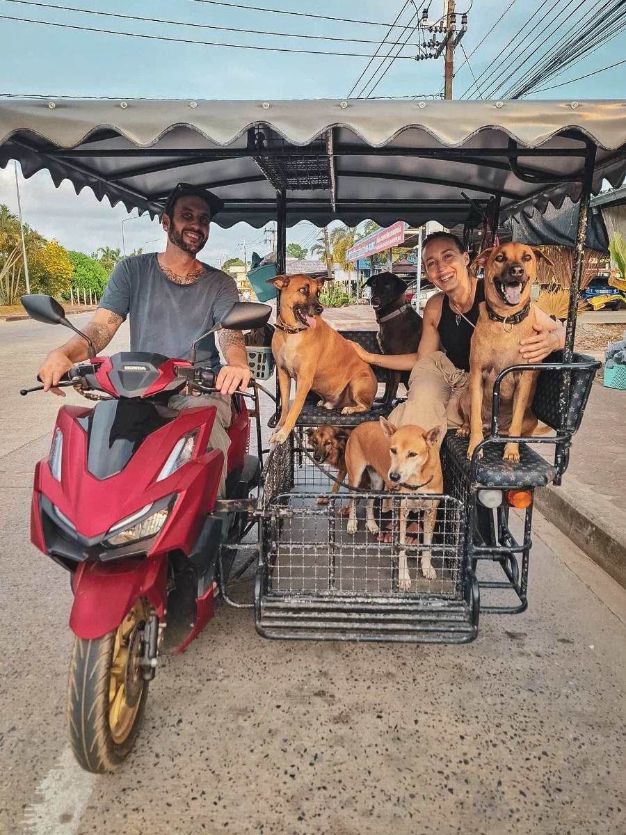 motorcycle travel Thailand Saleng dogs Rayong Falkor daily life